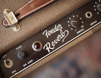 Close up of logo on Fender reverb unit