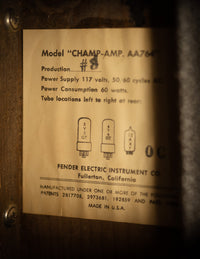 Fender Champ (1965)