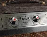 Gibson GA-5T Skylark (1964)