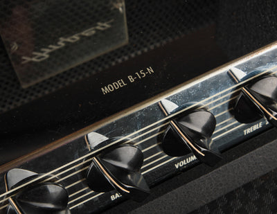 Ampeg B-15N Portaflex (1966)