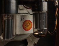 Fender 5F1 Champ (1962)