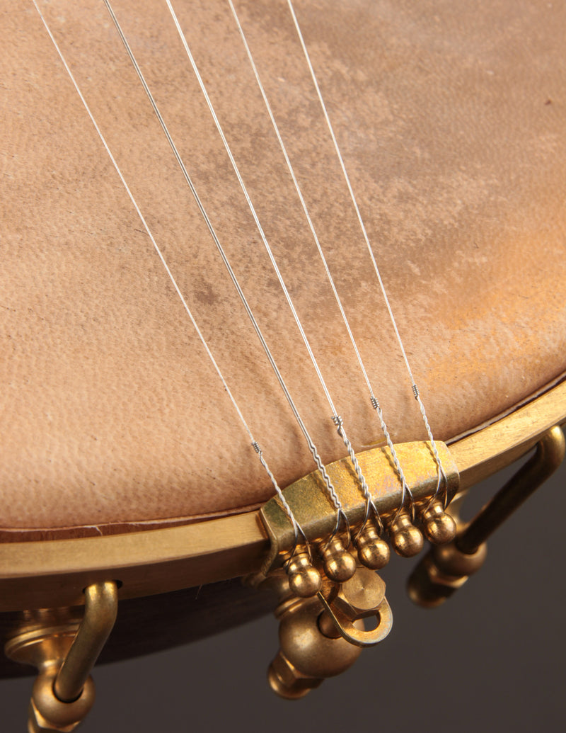 Arcara 12" Walnut Dobson w/Hammered Brass Peghead