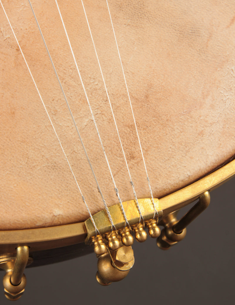 Arcara 12" Walnut Whyte Laydie w/Hammered Brass Peghead