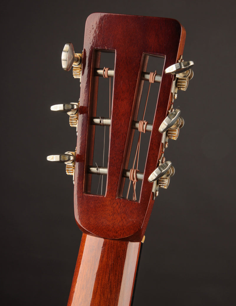 Atkin D-37 12-Fret Aged Shade Top