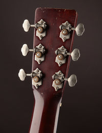 Atkin Essential D "White Rice"
