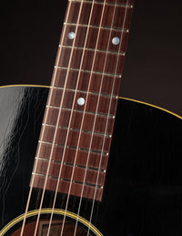 Atkin L36 Black Top