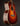 Acoustic guitar with a sunburst finish on a dark background