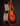 Acoustic guitar with a sunburst finish on a dark background