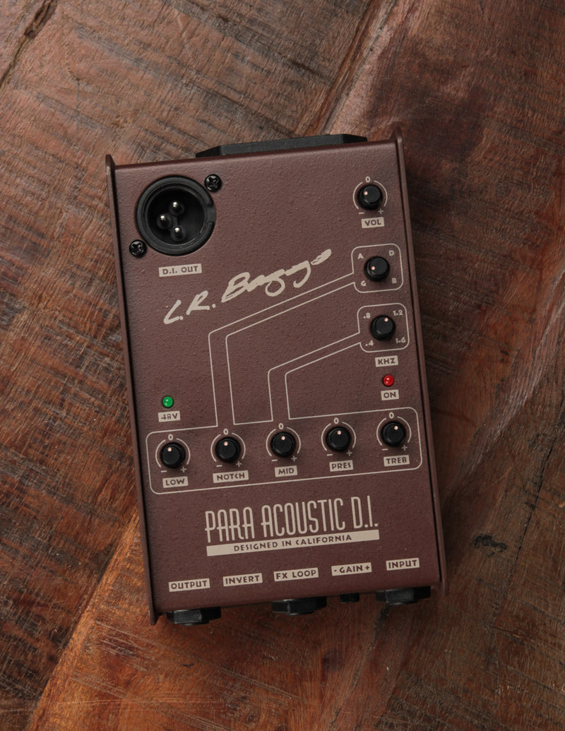 【特価正規品】L.R.Bagggs para acoustic D.I. 電源改造あり ギター