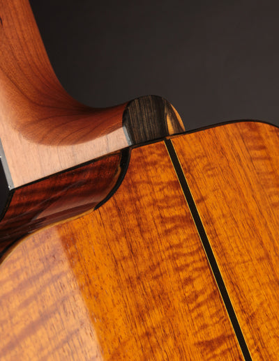 Bayard Guitar Bodied Bouzouki - Adirondack Sunburst