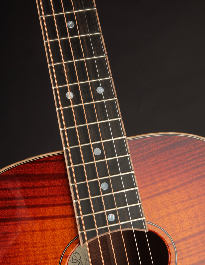 Beard Odyssey A Curly Maple Top - Amber Sunburst w/pickup