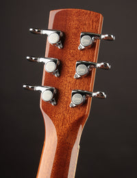Beard A-Odyssey Spruce & Mahogany Cutaway - Tinted Natural