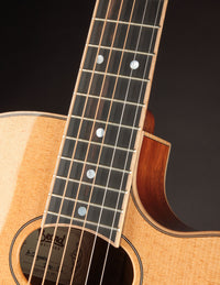 Beard A-Odyssey Spruce & Mahogany Cutaway - Tinted Natural