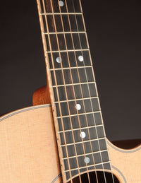 Beard A-Odyssey Spruce & Mahogany Cutaway - Tinted Natural