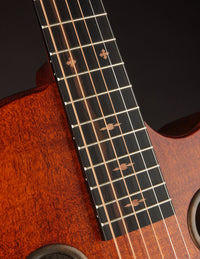 Beard Trailhead Roundneck Cutaway Custom- Tobacco Satin