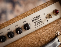 Benson Amps Nathan Junior Combo, Brown/Wheat