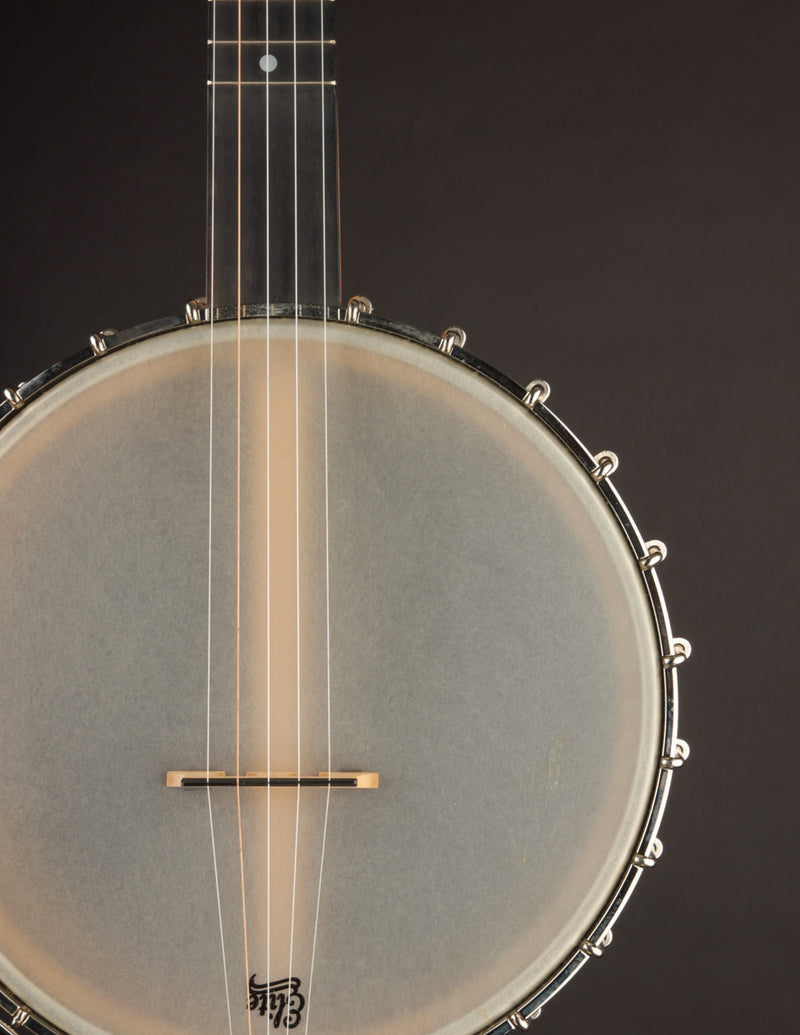 Bart Reiter Regent (USED)