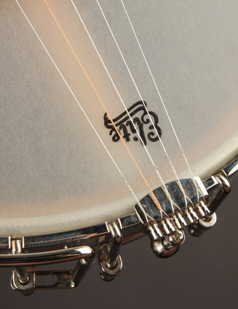 Bart Reiter Regent (USED)