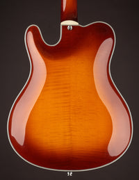 Tim Bram Tribute Archtop #75 Brown Burst