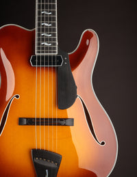 Tim Bram Tribute Archtop #75 Brown Burst