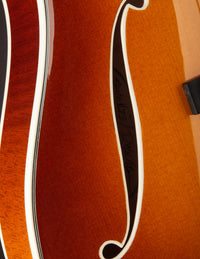 Tim Bram Tribute Archtop #75 Brown Burst