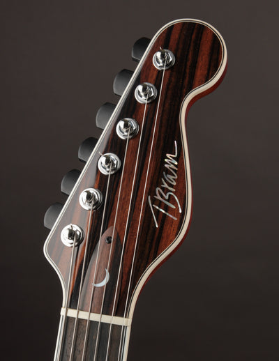 Tim Bram Tribute Custom Thinline #55