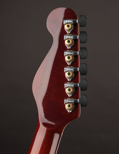 Tim Bram Tribute Custom Thinline #55