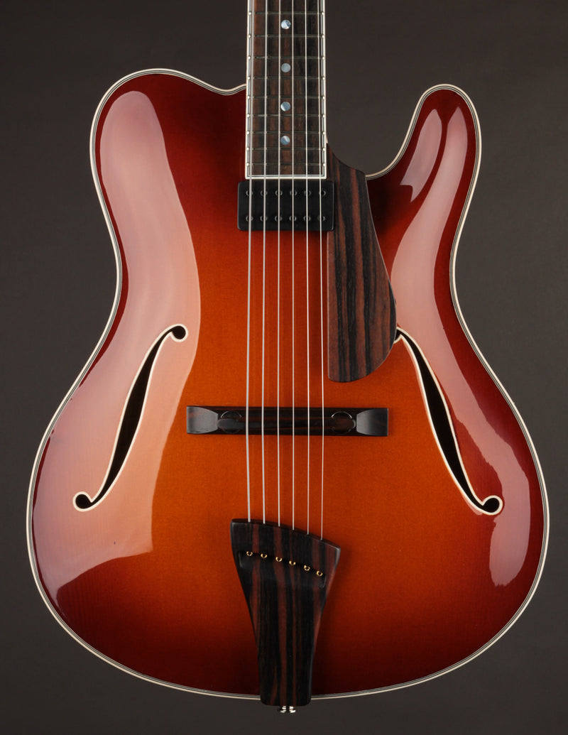 Tim Bram Tribute Custom Thinline 