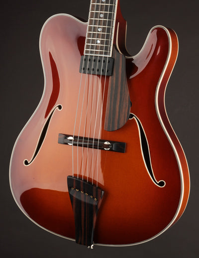 Tim Bram Tribute Custom Thinline #55