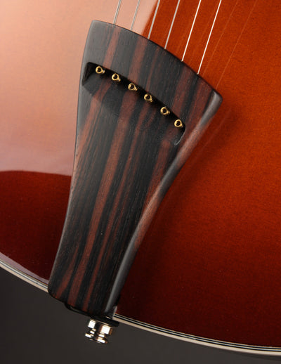 Tim Bram Tribute Custom Thinline #55