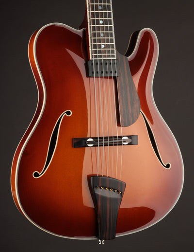 Tim Bram Tribute Custom Thinline #55