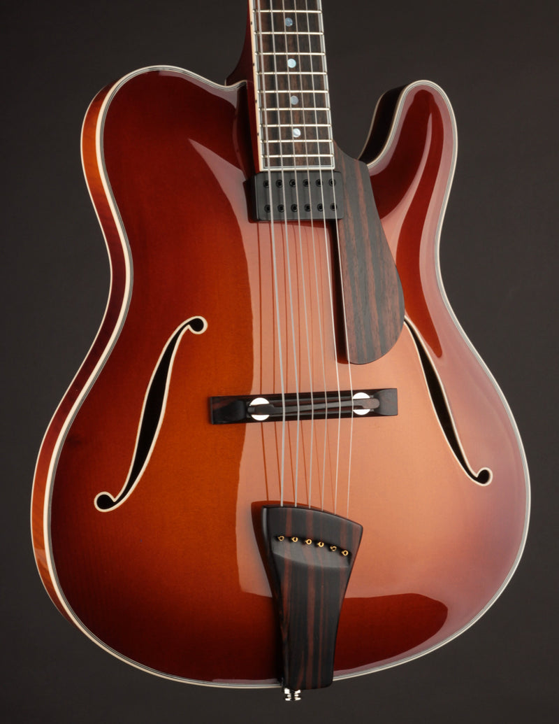 Tim Bram Tribute Custom Thinline 