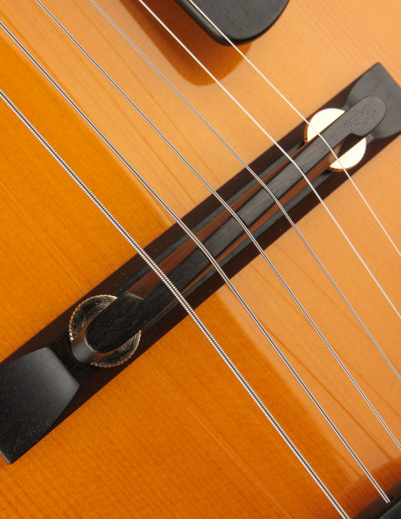 Tim Bram Tribute Archtop 