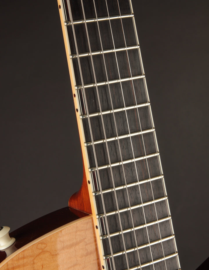 Brondel Burn II Guitar | The Music Emporium