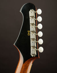 Brondel Burn II T Amber