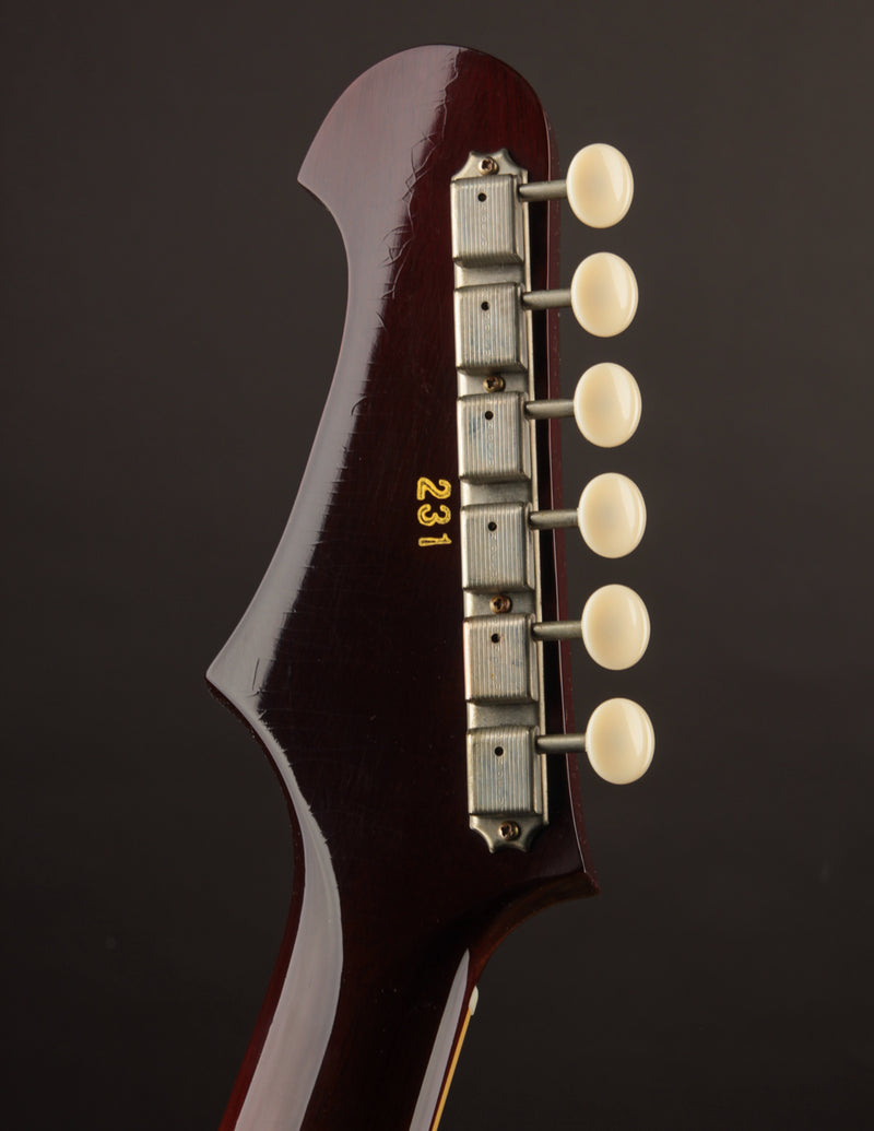 Brondel Burn II T Tobacco Sunburst