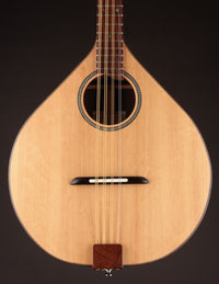 Burgin Short-Scale Irish Bouzouki  Rosewood & Bearclaw Spruce