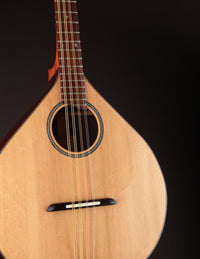 Burgin Short-Scale Irish Bouzouki  Rosewood & Bearclaw Spruce