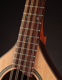 Burgin Short-Scale Irish Bouzouki  Rosewood & Bearclaw Spruce