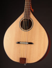 Burgin Short-Scale Irish Bouzouki  Rosewood & Bearclaw Spruce