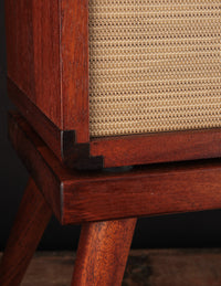 Circa 74 Acoustic Amplifier & Stand