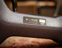 Calton OM / 000 Gunmetal Glitter / Gold Interior