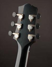 Collings 290 DC Aged Jet Black w/ Righteous Sound Bluebirds