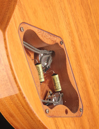Collings 290 Aged Natural w/ Throbak JW-102Bs