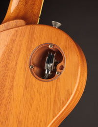 Collings 290 Aged Natural w/ Throbak JW-102Bs