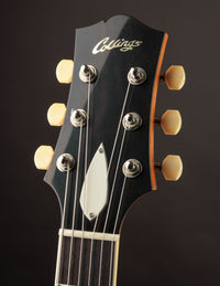 Collings 290 Aged Natural w/ Throbak JW-102Bs