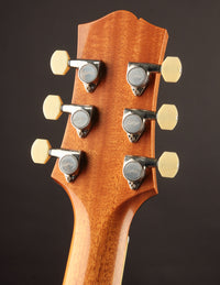 Collings 290 Aged Natural w/ Throbak JW-102Bs