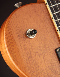 Collings 290 Aged Natural w/ Throbak JW-102Bs