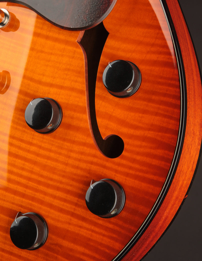 Collings 620 Iced Tea Sunburst w/ Ellis Bettes