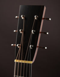 Collings D2A Hill Country Brazilian Rosewood Sunburst Satin